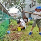 Forest School